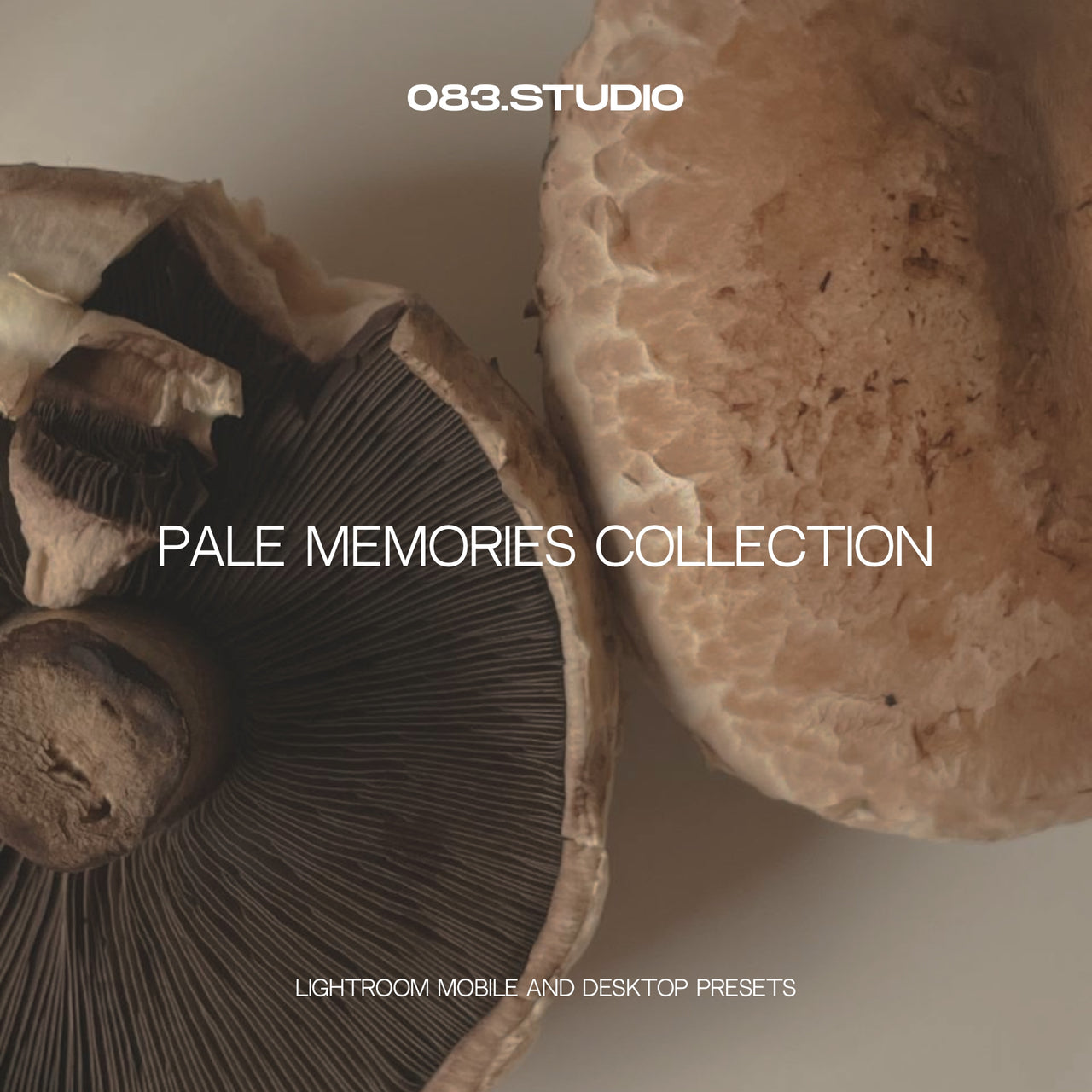 PALE MEMORIES COLLECTION